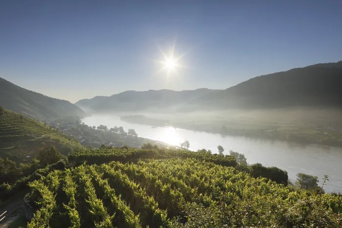Gerahmter Druck : Weingärten entlang der Donau, Spitz, Blick von den Ruinen des Hinterhaus Schlosses, morgendliche Nebelwandung, Wachau, Waldviertel, Niederösterreich Gerahmter Druck : Weingärten entlang der Donau, Spitz, Blick von den Ruinen des Hinterhaus Schlosses, morgendliche Nebelwandung, Wachau, Waldviertel, Niederösterreich