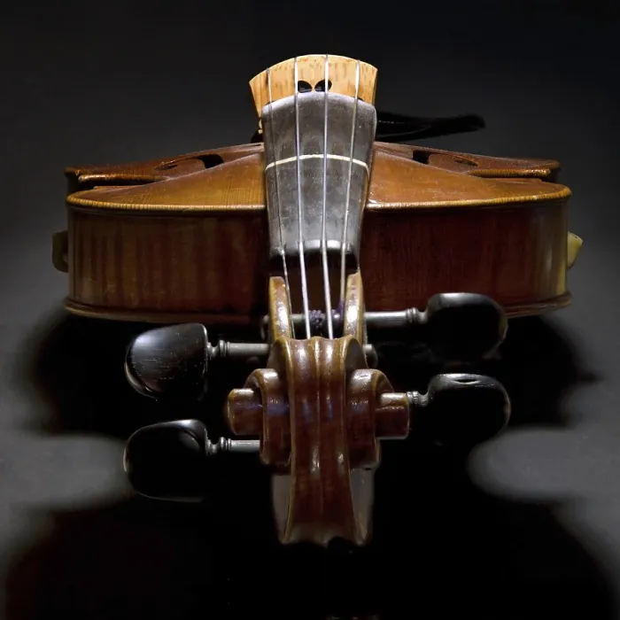 Gerahmter Druck : Violin Gerahmter Druck : Violin