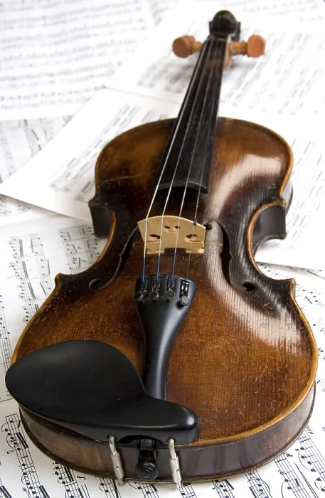 Gerahmter Druck : Violin Gerahmter Druck : Violin