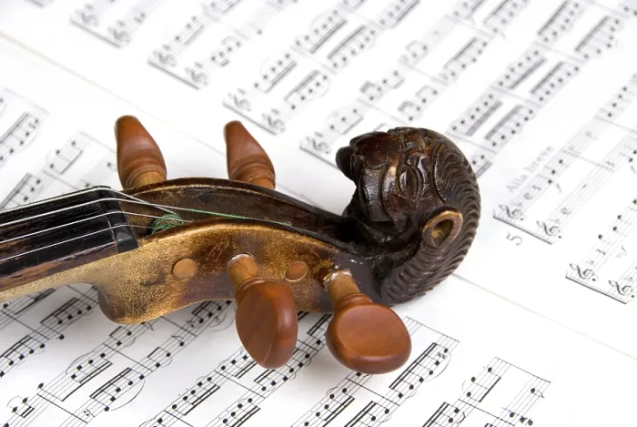 Gerahmter Druck : Violin Gerahmter Druck : Violin