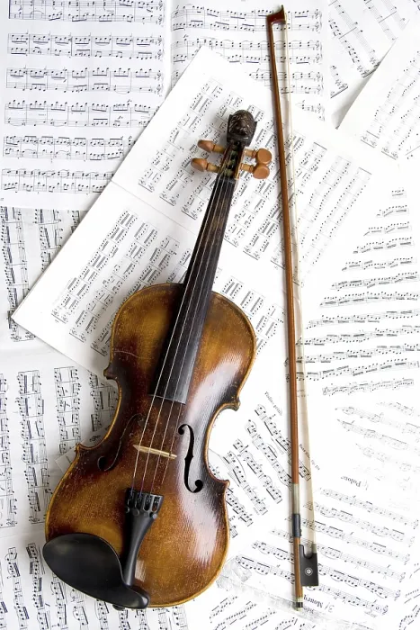 Gerahmter Druck : Violin Gerahmter Druck : Violin