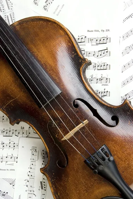 Gerahmter Druck : Violin Gerahmter Druck : Violin