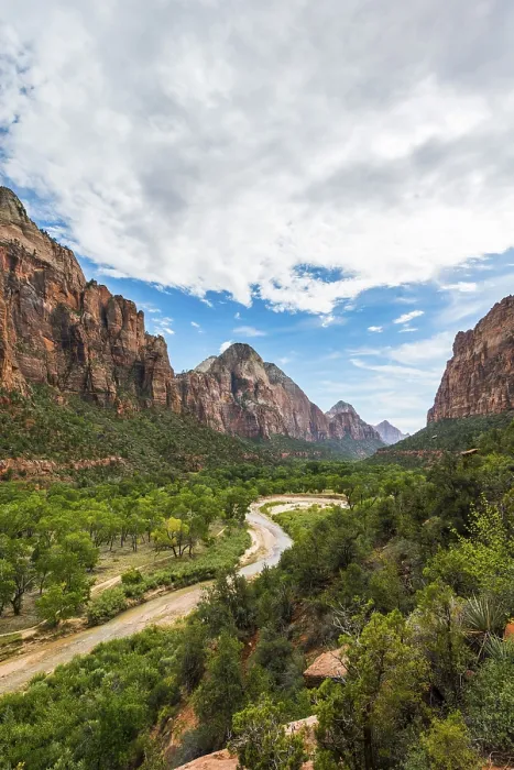 Gerahmter Druck : Der Virgin River fließt durch die Tal. Gerahmter Druck : Der Virgin River fließt durch die Tal.