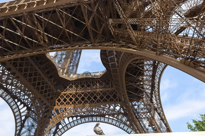 Gerahmter Druck : Besuchen Sie Paris - Eiffelturm Gerahmter Druck : Besuchen Sie Paris - Eiffelturm