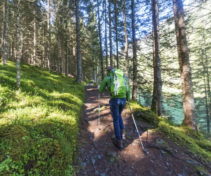 Gerahmter Druck : Walker auf Waldweg bergauf geht. Gerahmter Druck : Walker auf Waldweg bergauf geht.