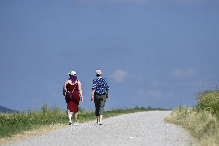 Gerahmter Druck : Walkers Gerahmter Druck : Walkers