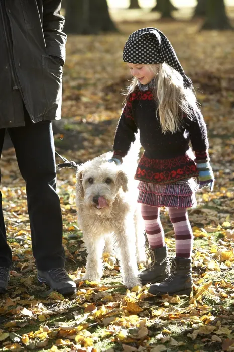 Gerahmter Druck : Hundegänger