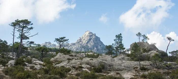 Gerahmter Druck : Wanderweg nach Piscia di Gallo Gerahmter Druck : Wanderweg nach Piscia di Gallo