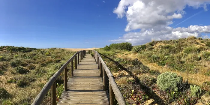 Gerahmter Druck : Wanderweg durch die Dünengeographie Gerahmter Druck : Wanderweg durch die Dünengeographie
