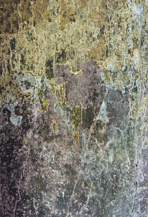 Gerahmter Druck : Wand mit Resten von Putz und Farbe.