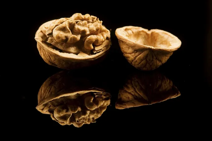 Gerahmter Druck : Walnut Gerahmter Druck : Walnut