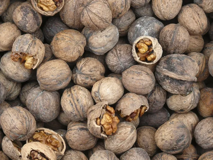 Gerahmter Druck : Walnut Gerahmter Druck : Walnut