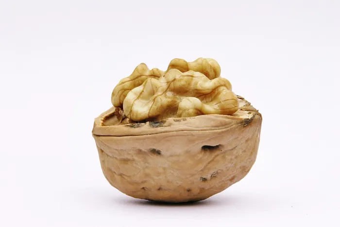 Gerahmter Druck : Walnuts Gerahmter Druck : Walnuts