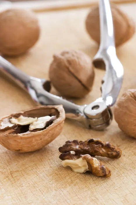 Gerahmter Druck : Walnuts Gerahmter Druck : Walnuts