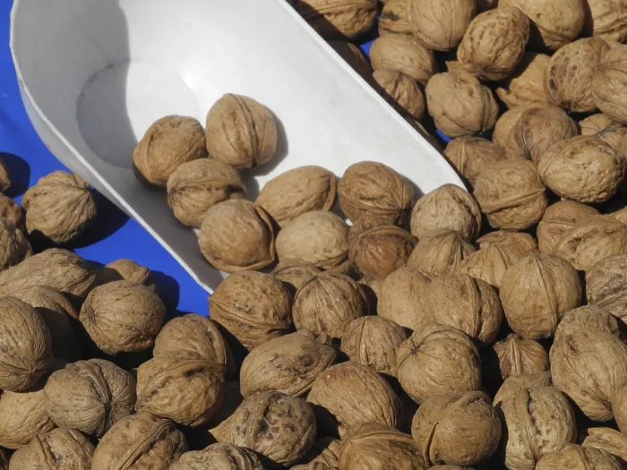 Gerahmter Druck : Walnüsse, Walnuss, Nüsse, Frucht, Früchte