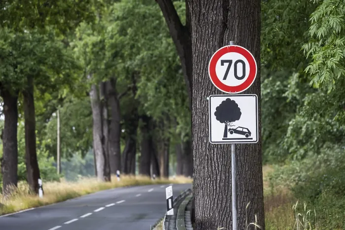 Gerahmter Druck : Warnschild für Baumunfall Gerahmter Druck : Warnschild für Baumunfall