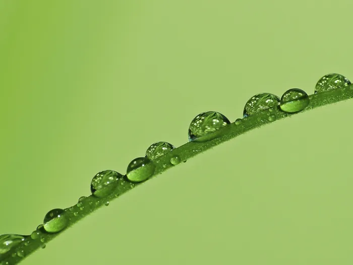Gerahmter Druck : Wassertropfen Gerahmter Druck : Wassertropfen