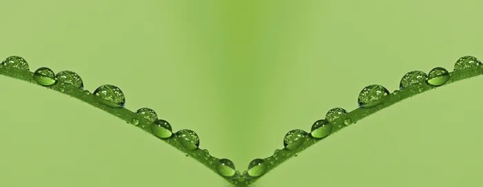 Gerahmter Druck : Wassertröpfchen Gerahmter Druck : Wassertröpfchen