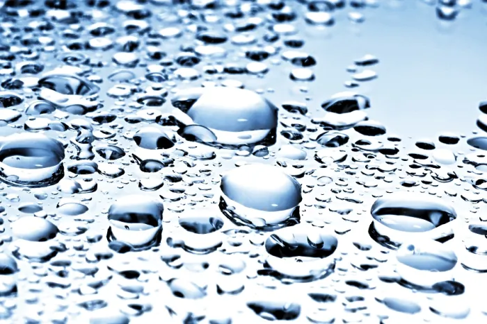 Gerahmter Druck : Wassertröpfchen auf einer Blätteroberfläche Gerahmter Druck : Wassertröpfchen auf einer Blätteroberfläche