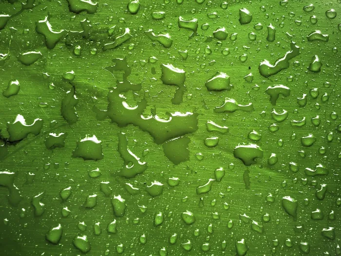 Gerahmter Druck : Wassertröpfchen auf grüner metallischer Oberfläche.