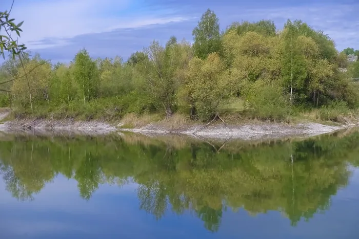 Gerahmter Druck : Wasser, See, Spiegelung, Bäume Gerahmter Druck : Wasser, See, Spiegelung, Bäume