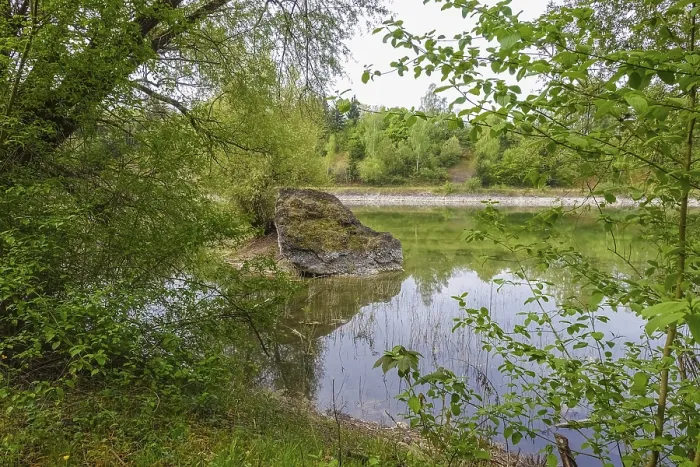 Gerahmter Druck : Wasser, See, Spiegelung, Bäume Gerahmter Druck : Wasser, See, Spiegelung, Bäume