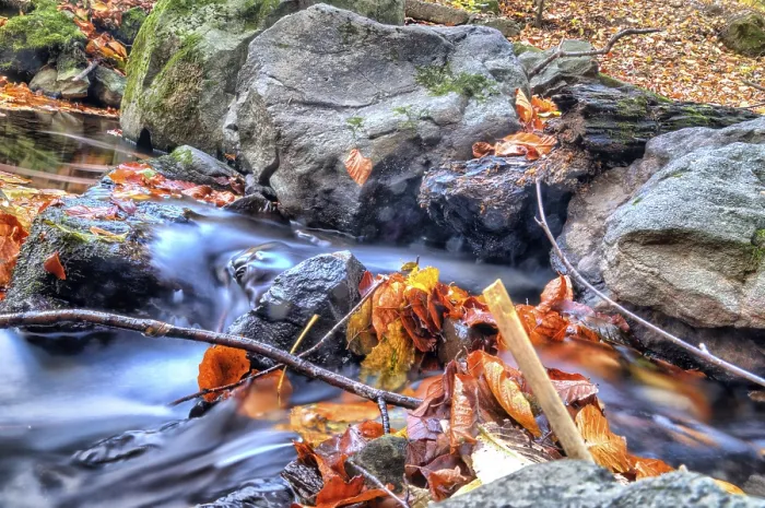 Gerahmter Druck : Wasser auf den Felsen in den Wald. Gerahmter Druck : Wasser auf den Felsen in den Wald.