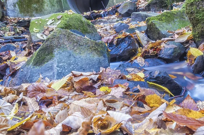 Gerahmter Druck : Wasser auf den Felsen in den Wald. Gerahmter Druck : Wasser auf den Felsen in den Wald.