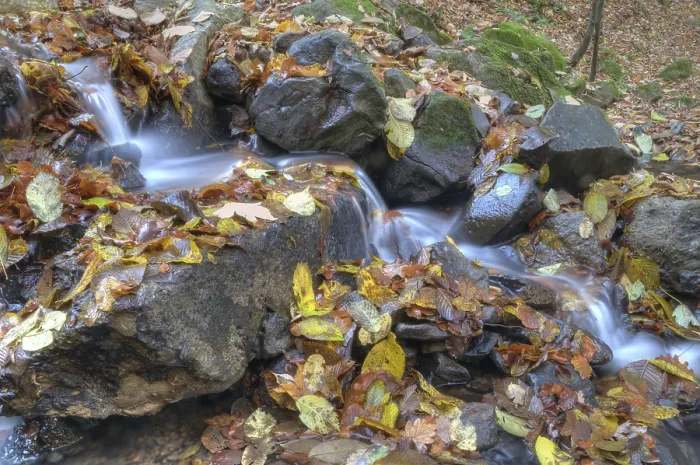 Gerahmter Druck : Wasser auf den Felsen in den Wald. Gerahmter Druck : Wasser auf den Felsen in den Wald.