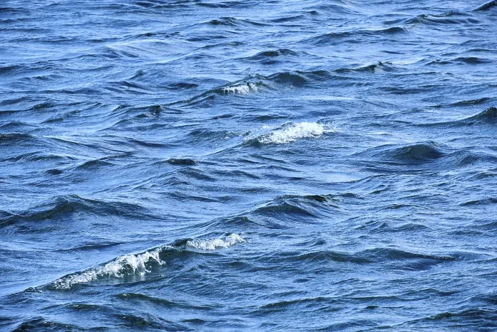 Gerahmter Druck : Wasserfläche mit kleinen Wellen, Tapete, Deutschland. Gerahmter Druck : Wasserfläche mit kleinen Wellen, Tapete, Deutschland.