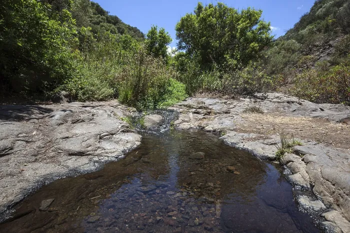 Gerahmter Druck : Bachlauf im Barranco de los Cernicalos Gerahmter Druck : Bachlauf im Barranco de los Cernicalos