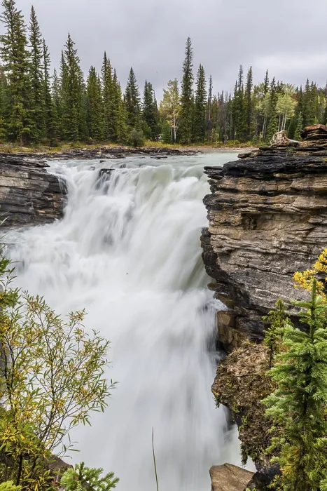Gerahmter Druck : Wasserfall, Athabasca-Fälle, Athabasca River Gerahmter Druck : Wasserfall, Athabasca-Fälle, Athabasca River