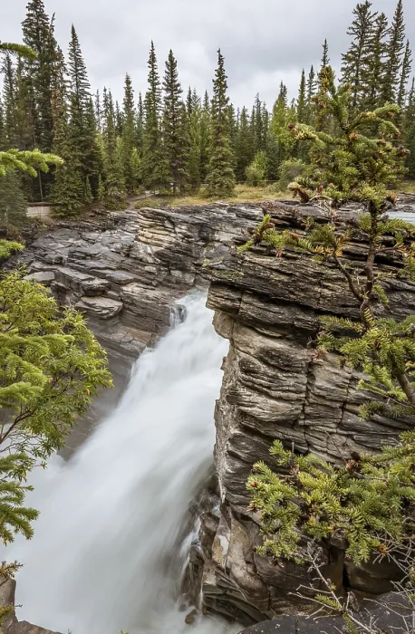 Gerahmter Druck : Wasserfall, Athabasca-Fälle, Athabasca-Fluss Gerahmter Druck : Wasserfall, Athabasca-Fälle, Athabasca-Fluss