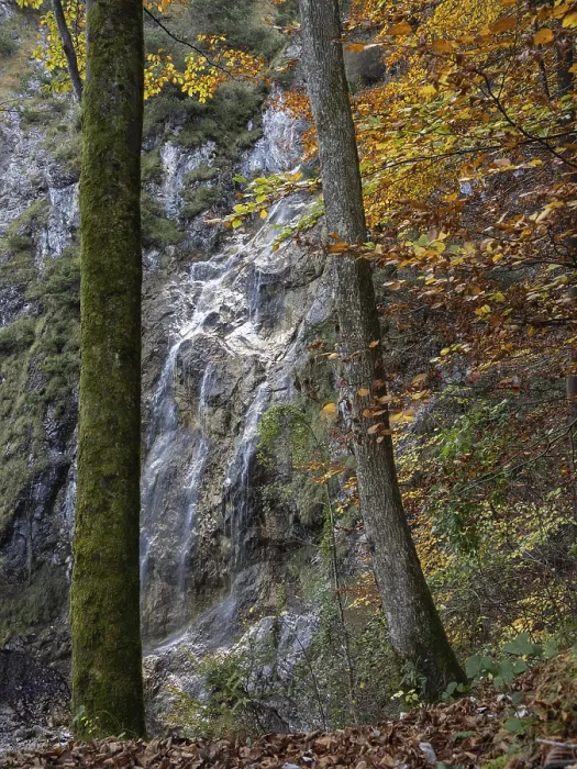 Gerahmter Druck : Wasserfall im Herbst, Scharfling. Gerahmter Druck : Wasserfall im Herbst, Scharfling.
