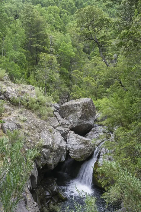 Gerahmter Druck : Wasserfall am Estero Armenilo Bach Gerahmter Druck : Wasserfall am Estero Armenilo Bach