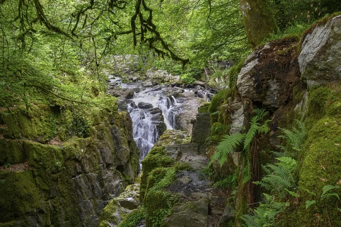 Gerahmter Druck : Wasserfall, Wald, Die Hermitage Gerahmter Druck : Wasserfall, Wald, Die Hermitage
