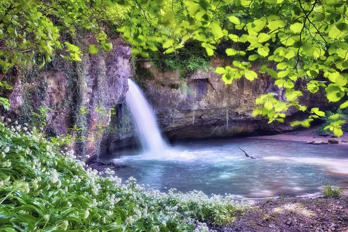Gerahmter Druck : Wasserfall im Wald mit einem kleinen Teich. Gerahmter Druck : Wasserfall im Wald mit einem kleinen Teich.