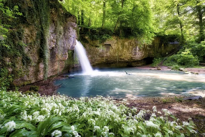 Gerahmter Druck : Wasserfall im Wald mit einem kleinen Teich. Gerahmter Druck : Wasserfall im Wald mit einem kleinen Teich.