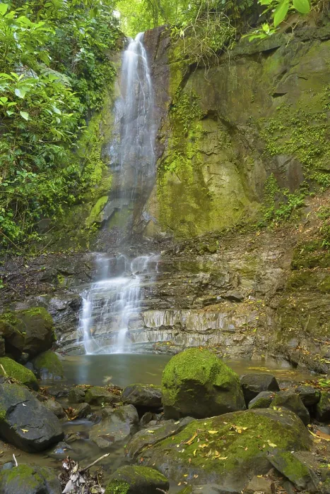 Gerahmter Druck : Wasserfall im Dschungel, Felsen. Gerahmter Druck : Wasserfall im Dschungel, Felsen.