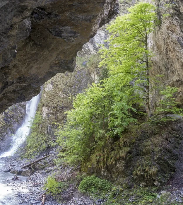 Gerahmter Druck : Wasserfall in der Liechtensteinklamm