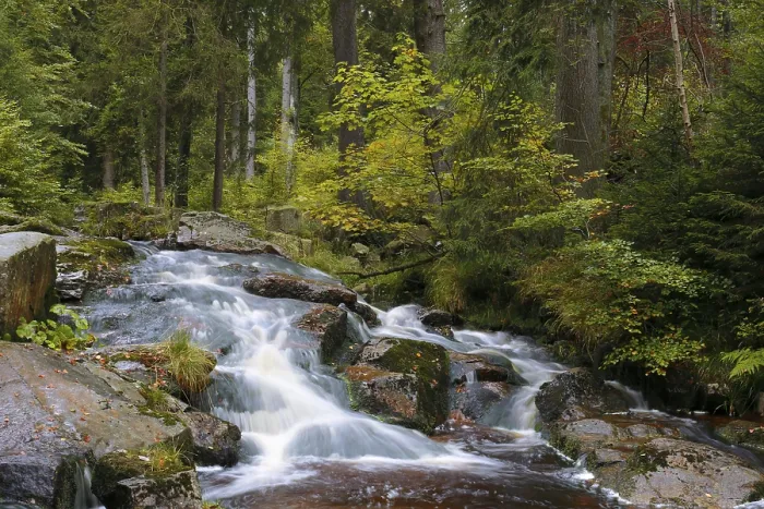 Gerahmter Druck : Wasserfall eines kleinen Bergbaches Gerahmter Druck : Wasserfall eines kleinen Bergbaches
