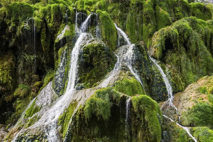 Gerahmter Druck : Wasserfall und moosbedeckte Felsen. Gerahmter Druck : Wasserfall und moosbedeckte Felsen.
