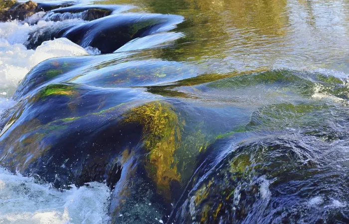 Gerahmter Druck : Wasserfall mit moosbedeckten Felsen an der Leitzach, Leitzachtal, bei Fischbachau Gerahmter Druck : Wasserfall mit moosbedeckten Felsen an der Leitzach, Leitzachtal, bei Fischbachau