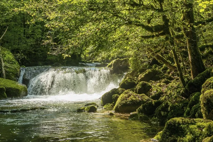 Gerahmter Druck : Wasserfall und moosbewachsene Felsen, Quelle der Loue. Gerahmter Druck : Wasserfall und moosbewachsene Felsen, Quelle der Loue.