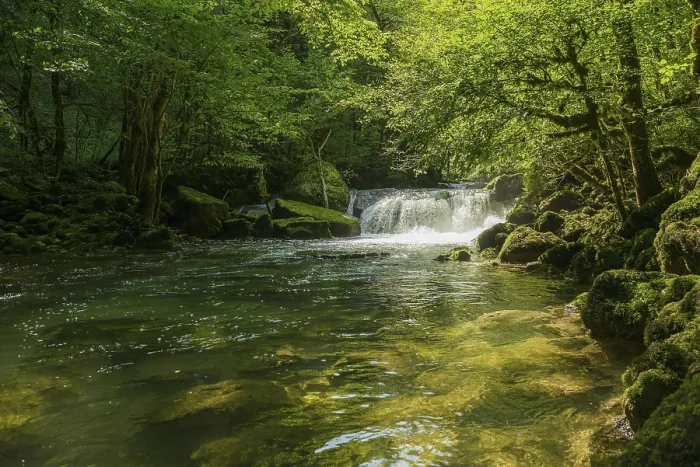 Gerahmter Druck : Wasserfall und moosbedeckte Felsen, Quelle der Loue. Gerahmter Druck : Wasserfall und moosbedeckte Felsen, Quelle der Loue.