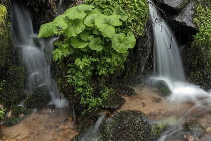 Gerahmter Druck : Wasserfall in einem Bergwald im Frühling. Gerahmter Druck : Wasserfall in einem Bergwald im Frühling.
