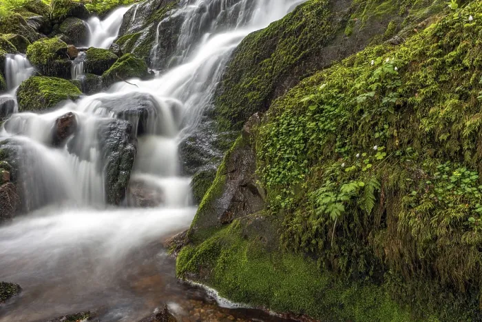 Gerahmter Druck : Wasserfall in einem Bergwald im Frühling. Gerahmter Druck : Wasserfall in einem Bergwald im Frühling.