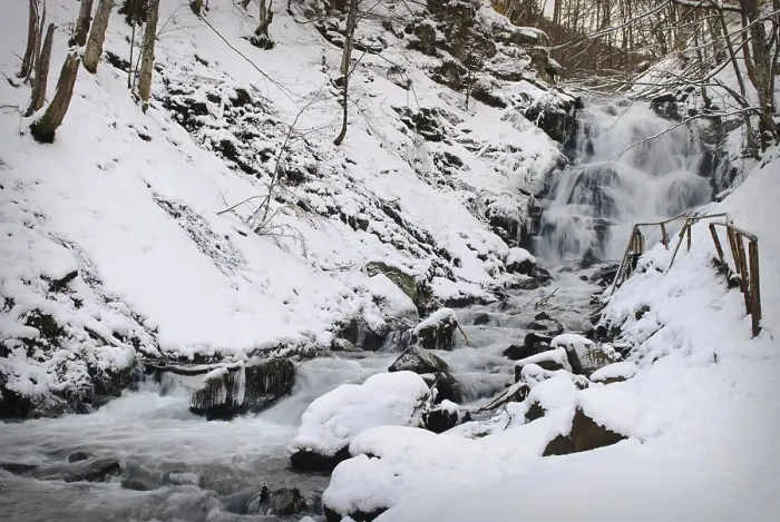 Gerahmter Druck : Wasserfall in einem winterlichen Waldgebiet Gerahmter Druck : Wasserfall in einem winterlichen Waldgebiet