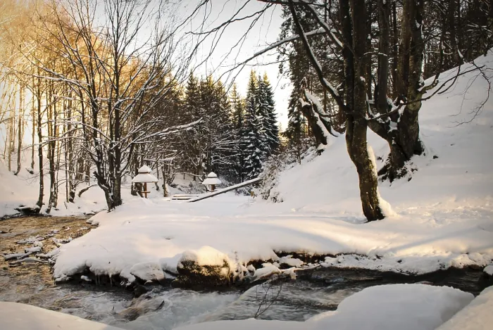 Gerahmter Druck : Wasserfall-Berg-Fluss in einem Wald im Winter. Gerahmter Druck : Wasserfall-Berg-Fluss in einem Wald im Winter.