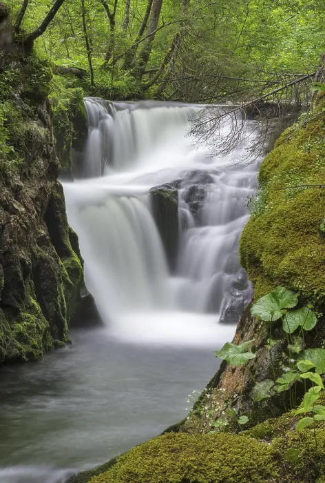 Gerahmter Druck : Wasserfall, Bergfluss Stimitz Gerahmter Druck : Wasserfall, Bergfluss Stimitz